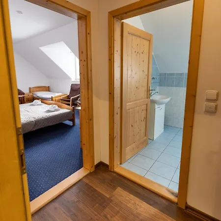 斯塔拉阿美莉卡酒店 3* 亚布伦科夫